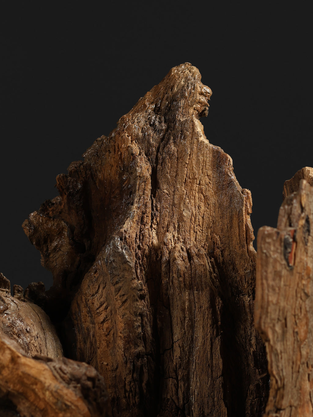 Lacquered Tree Sculpture, c. 20th century