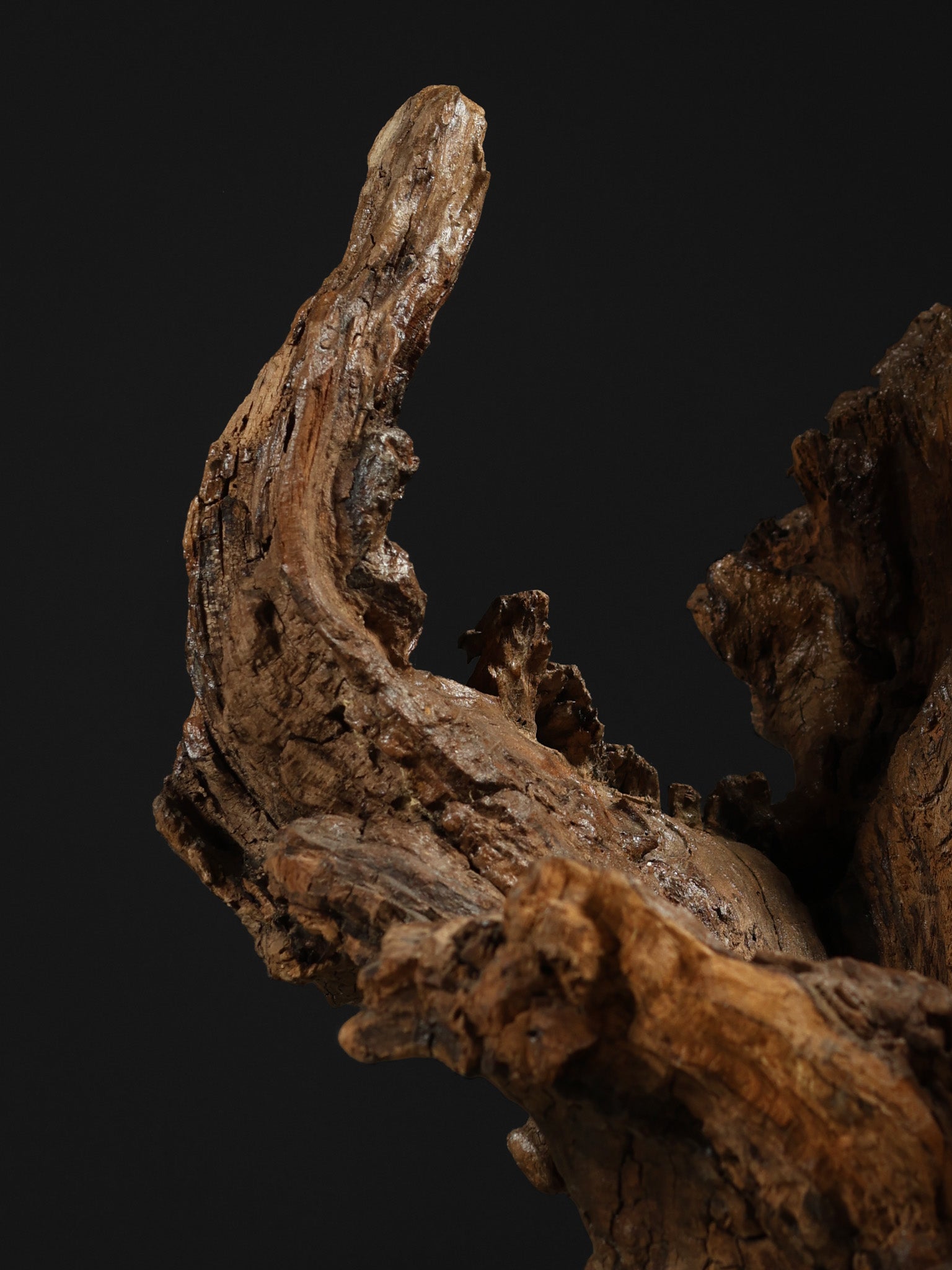 Lacquered Tree Sculpture, c. 20th century