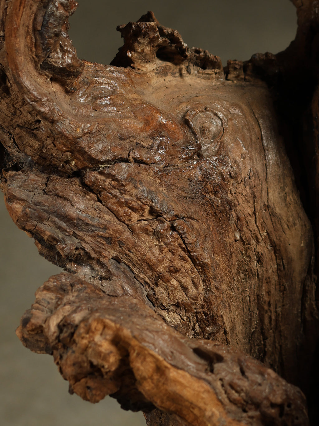 Lacquered Tree Sculpture, c. 20th century