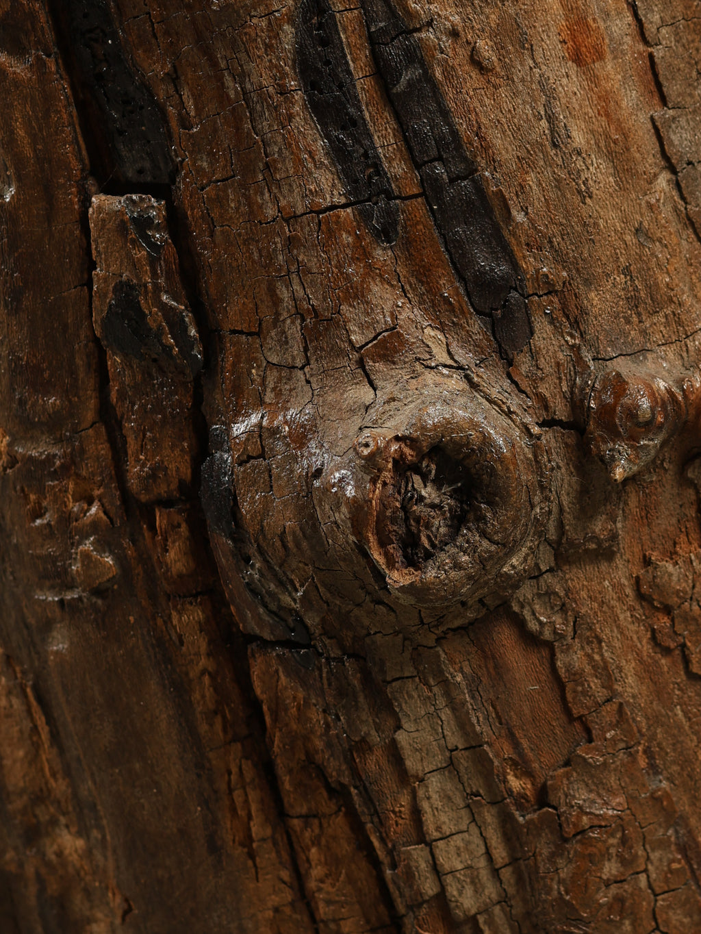 Lacquered Tree Sculpture, c. 20th century