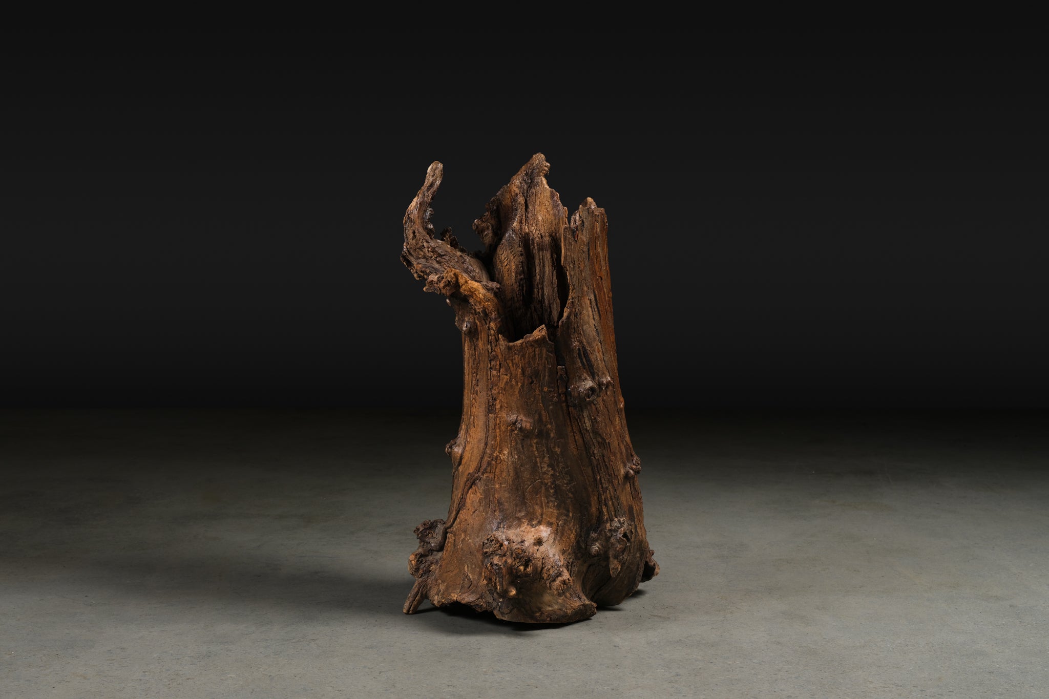 Lacquered Tree Sculpture, c. 20th century